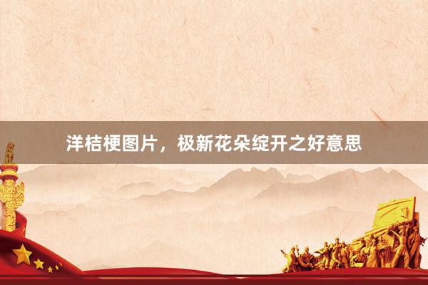 洋桔梗图片，极新花朵绽开之好意思