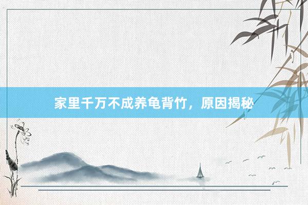 家里千万不成养龟背竹，原因揭秘