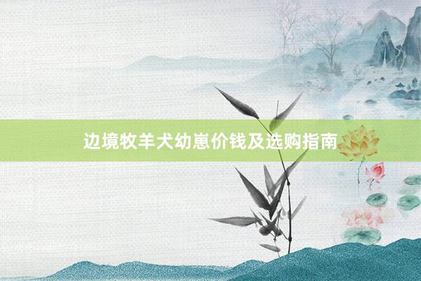 边境牧羊犬幼崽价钱及选购指南