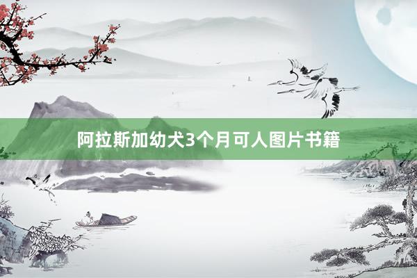 阿拉斯加幼犬3个月可人图片书籍