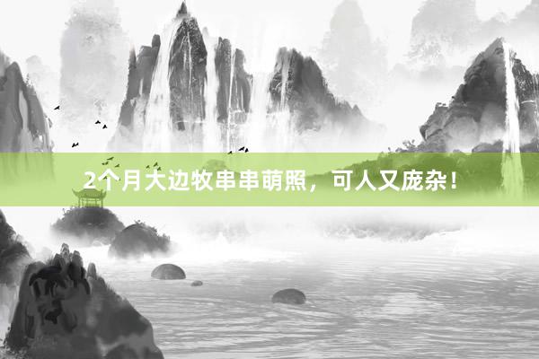 2个月大边牧串串萌照，可人又庞杂！